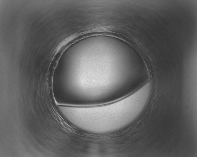 X0000085821308200703161045