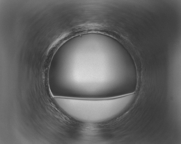 X0000085821309200703161045