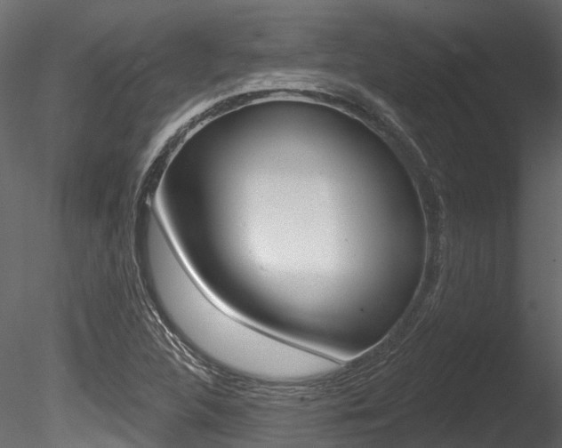 X0000085821312200703161045