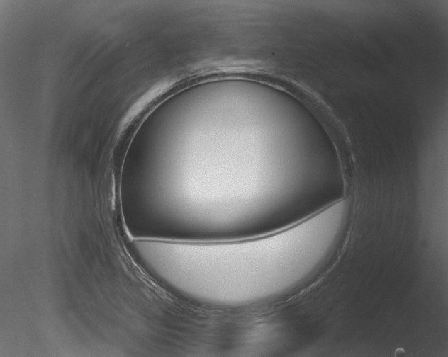 X0000085821317200703161045