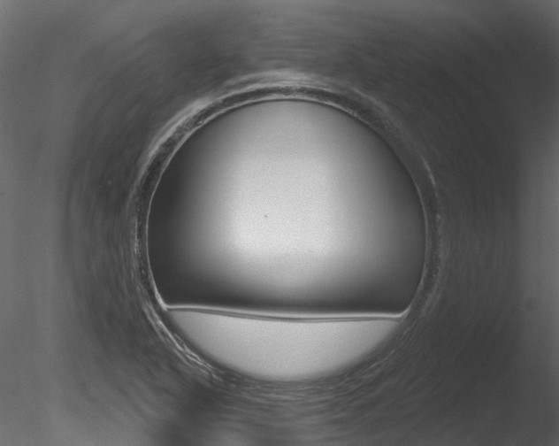 X0000085821318200703161045