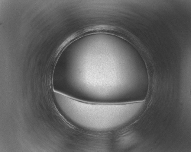 X0000085821321200703161045