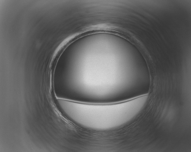 X0000085821323200703161045