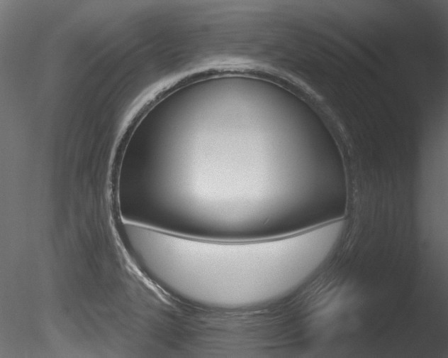 X0000085821327200703161045
