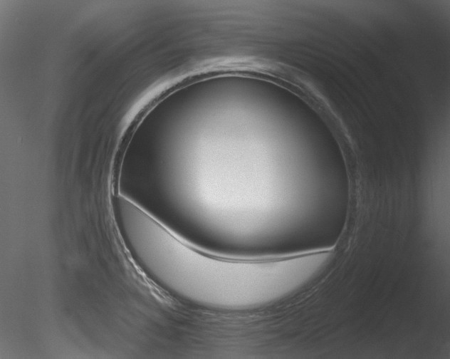 X0000085821328200703161045
