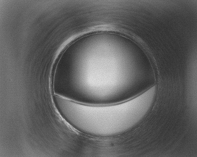 X0000085821334200703161045