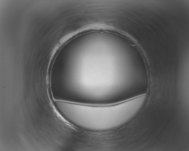 X0000085821335200703161045