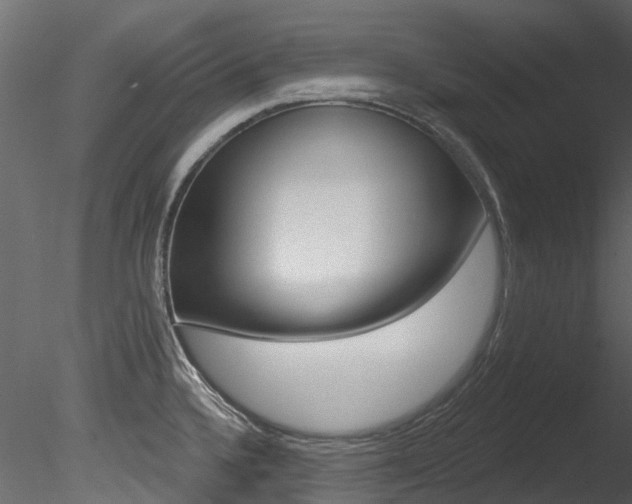 X0000085821336200703161045