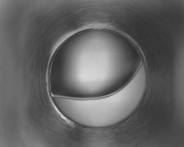 X0000085821343200703161045