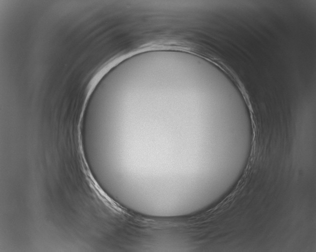 X0000085821344200703161045