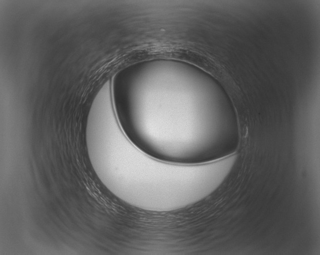 X0000085821348200703161045