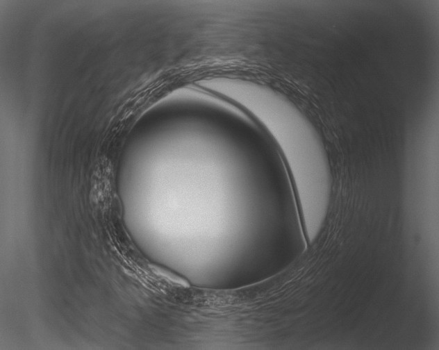 X0000085821349200703161045