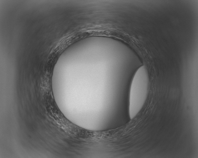 X0000085821350200703161045