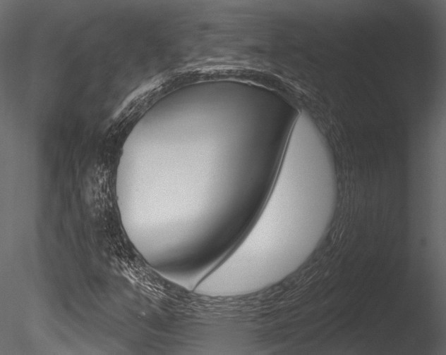 X0000085821351200703161045