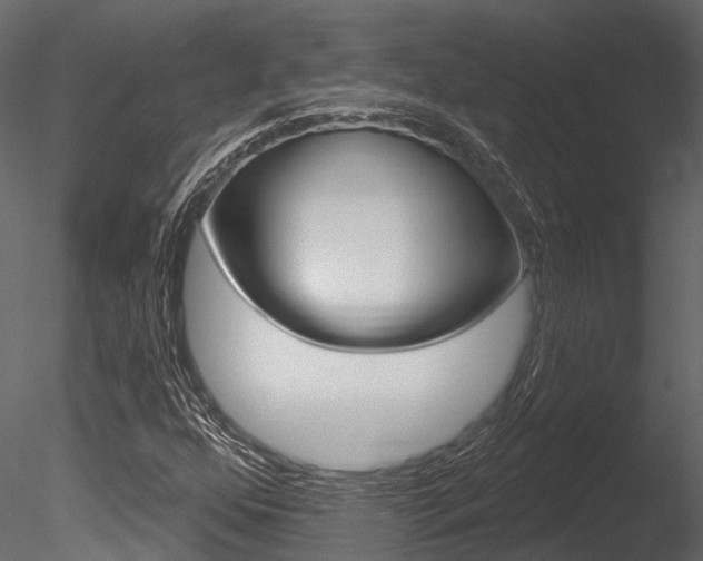 X0000085821352200703161045