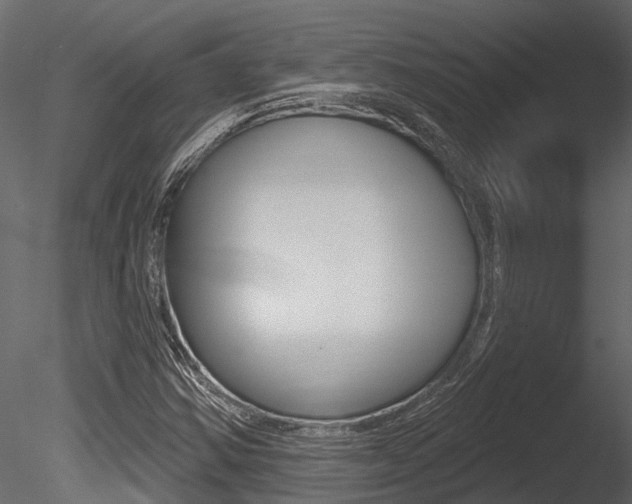 X0000085821354200703161044