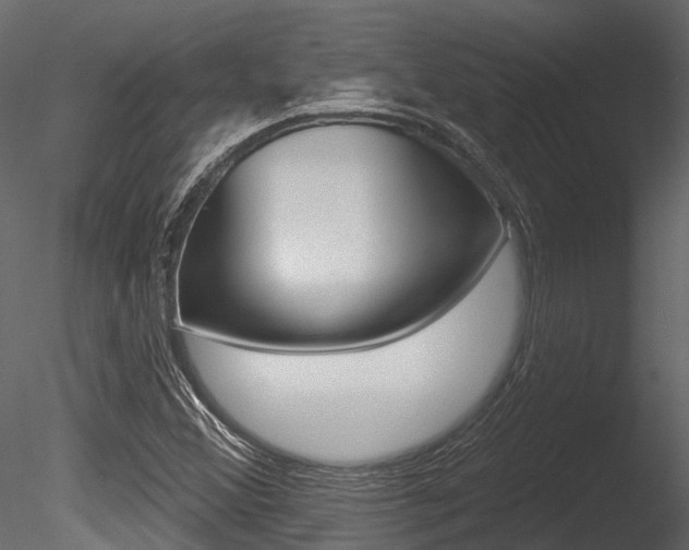 X0000085821356200703161044