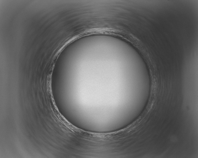 X0000085821361200703161044