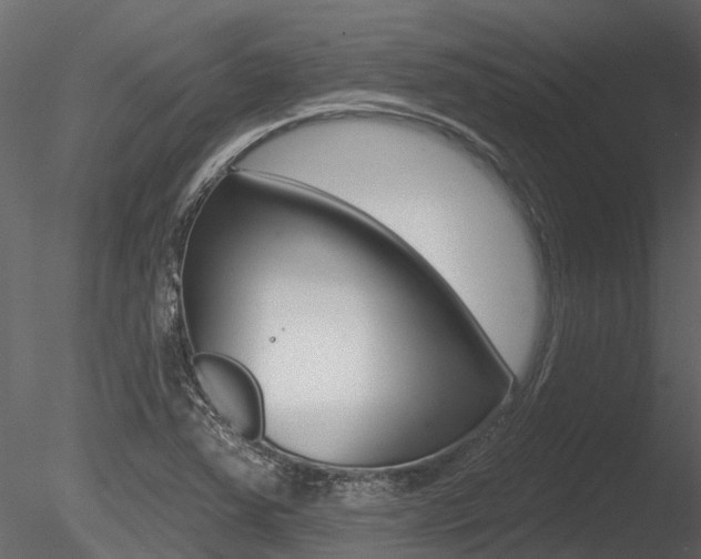 X0000085821363200703161044