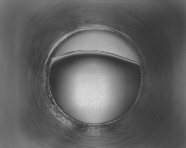 X0000085821364200703161044