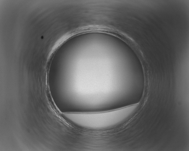 X0000085821365200703161044