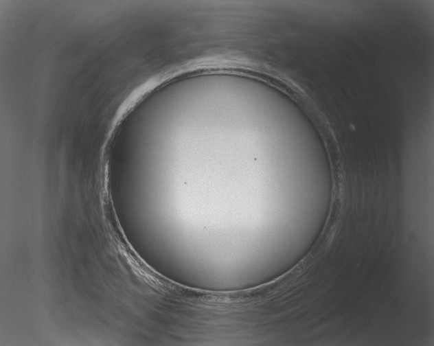 X0000085821366200703161044