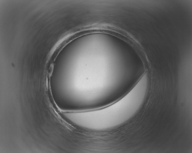 X0000085821368200703161044