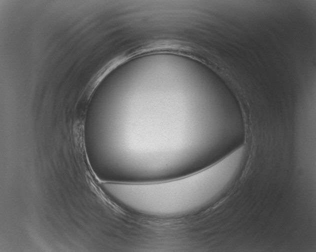 X0000085821369200703161044