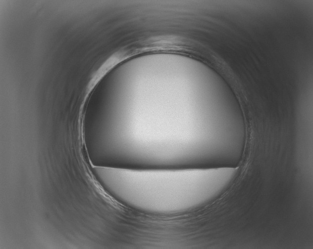 X0000085821370200703161044