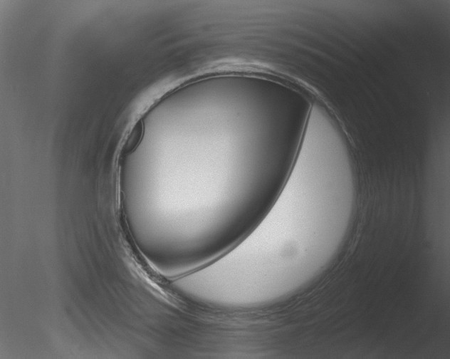 X0000085821371200703161044