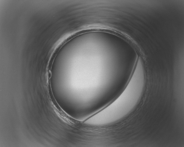 X0000085821372200703161044