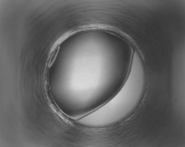 X0000085821373200703161044