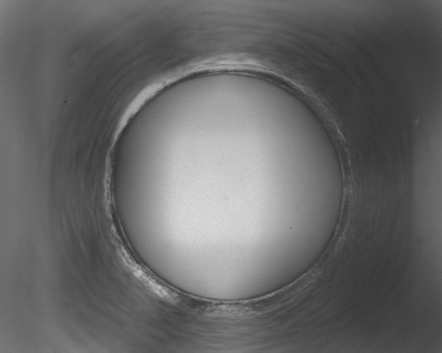 X0000085821374200703161044