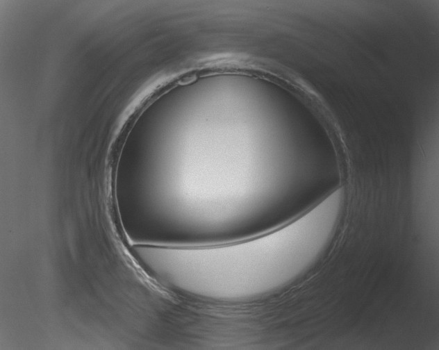 X0000085821376200703161044