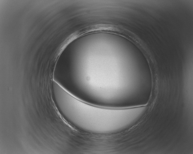 X0000085821377200703161044