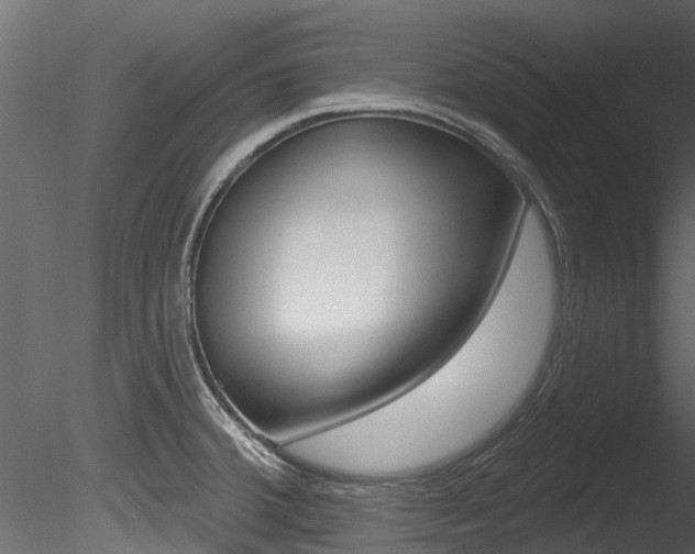 X0000085821380200703161044