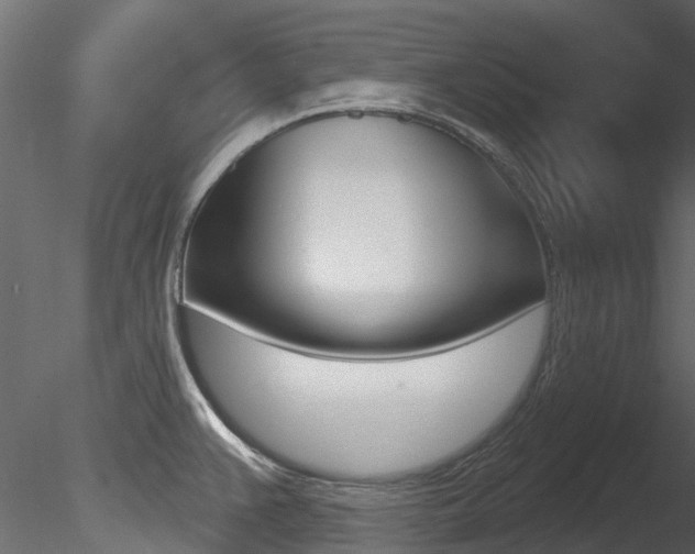 X0000085821383200703161044