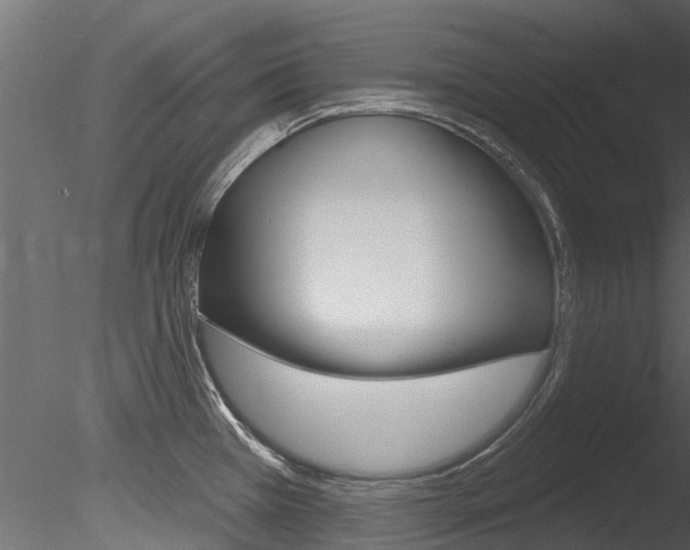 X0000085821385200703161044