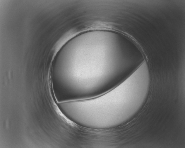 X0000085821387200703161044