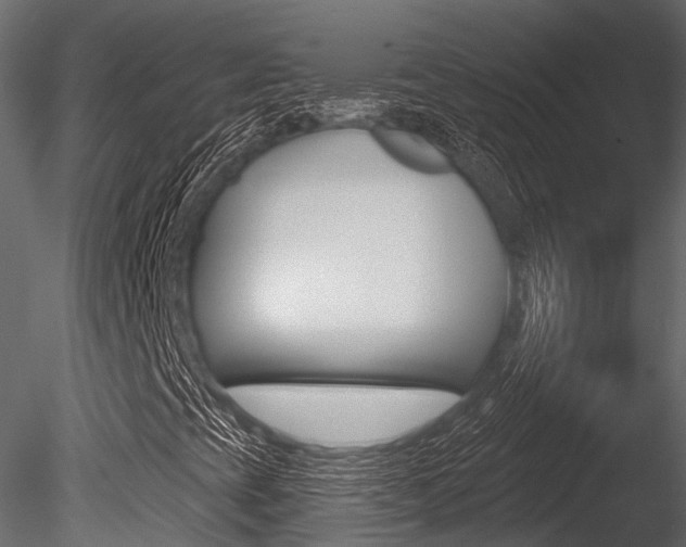 X0000085821393200703161043