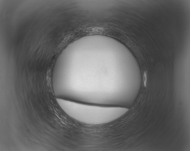 X0000085821395200703161043