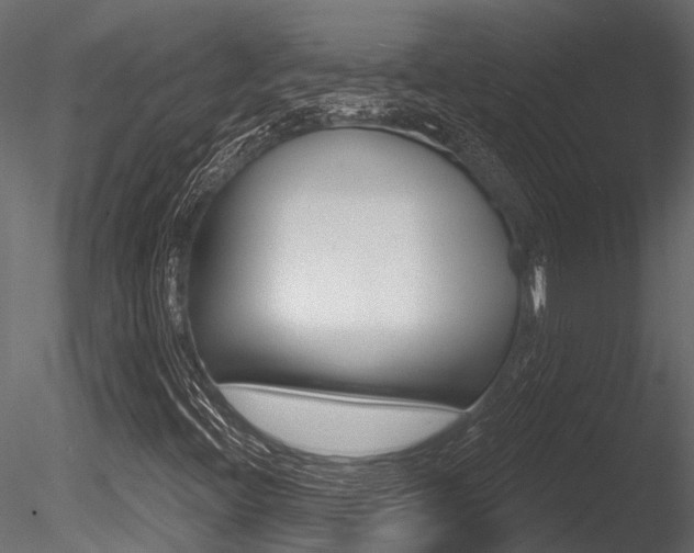X0000085821396200703161043