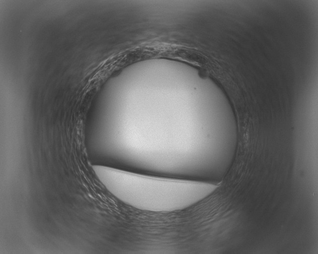X0000085821397200703161043