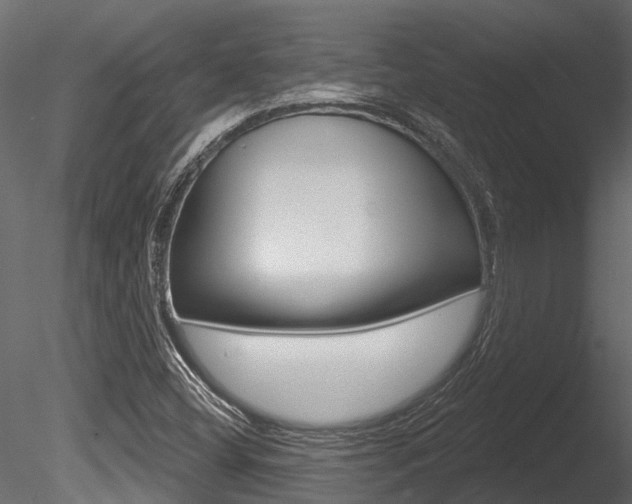 X0000085821404200703161043