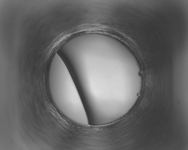 X0000085821407200703161043