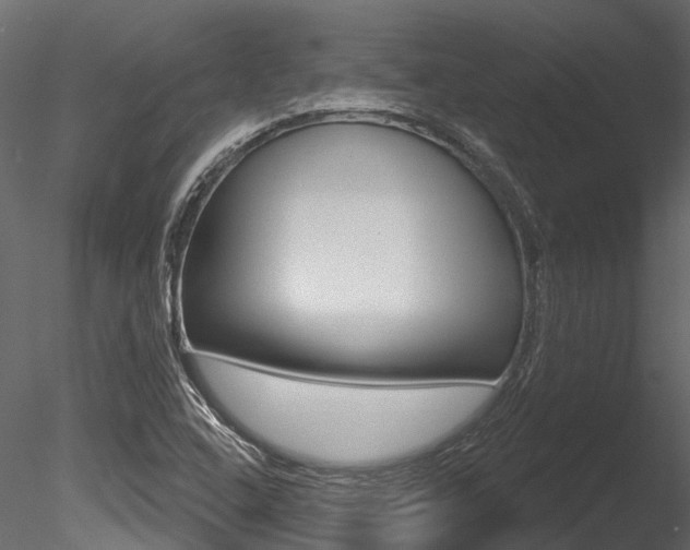 X0000085821408200703161043