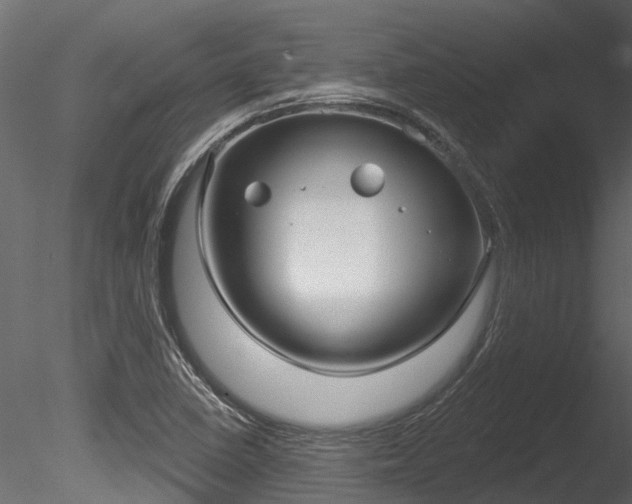 X0000085821410200703161043