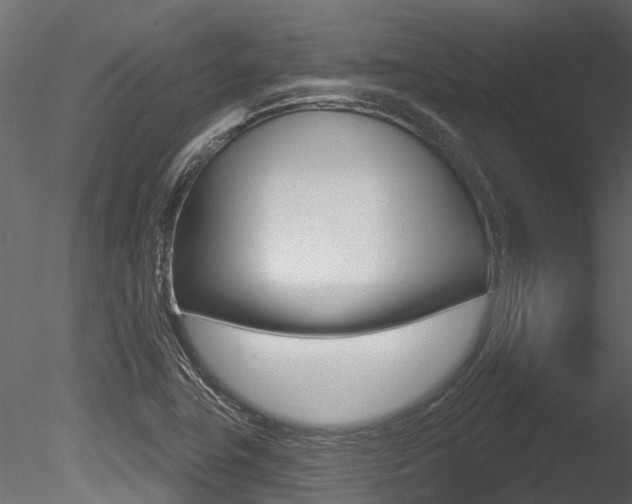 X0000085821411200703161043