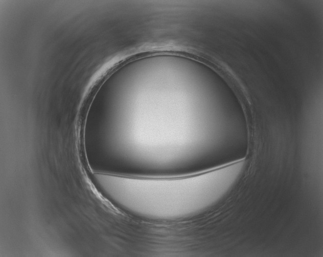 X0000085821416200703161043