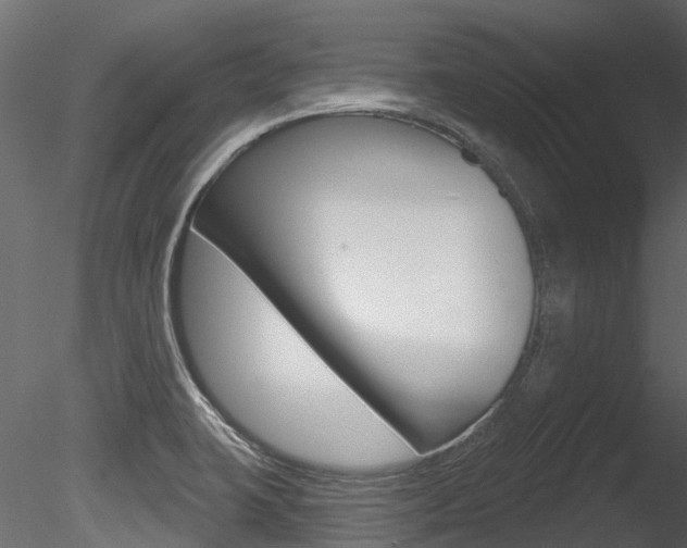 X0000085821423200703161044